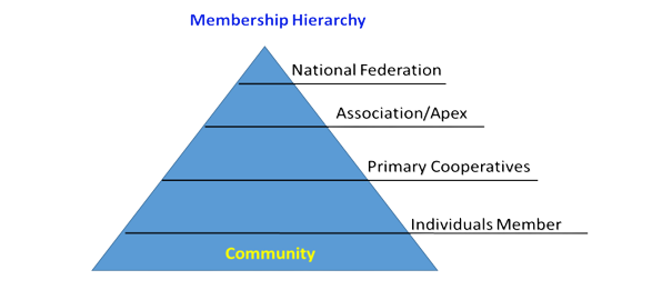 The National Co-operative National Federation of Eswatini is made of a bottom up hierarchical structure as follows: